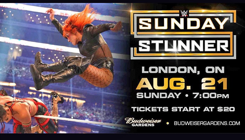 WWE Sunday Stunner